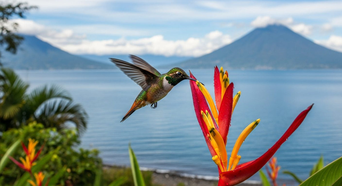 Fauna del Lago de Atitlán: Animales y Naturaleza