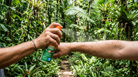 Mejor Repelente de Insectos para Guatemala: ¿DEET o Picaridina?