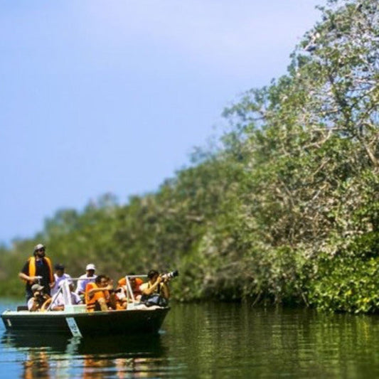 Tour del Manglar en Lancha 1.5 Horas - Atitlan Guatemala