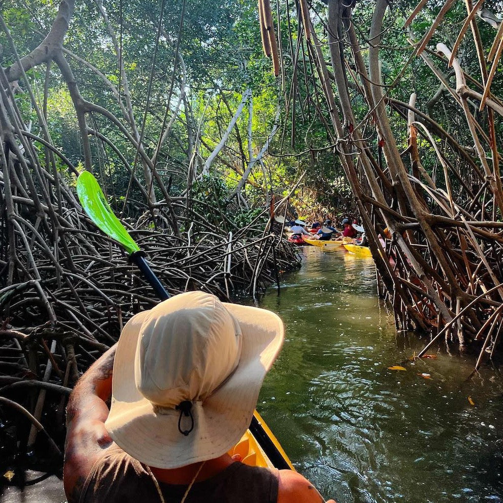 Tour de Tortugas Poza del Nance: 3.5 horas - Atitlan Guatemala