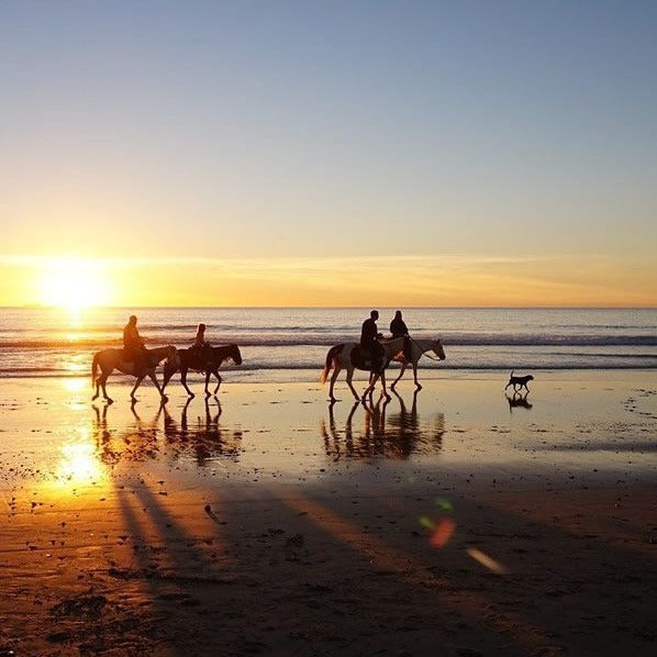 Paseos a caballo en la playa - Atitlan Guatemala